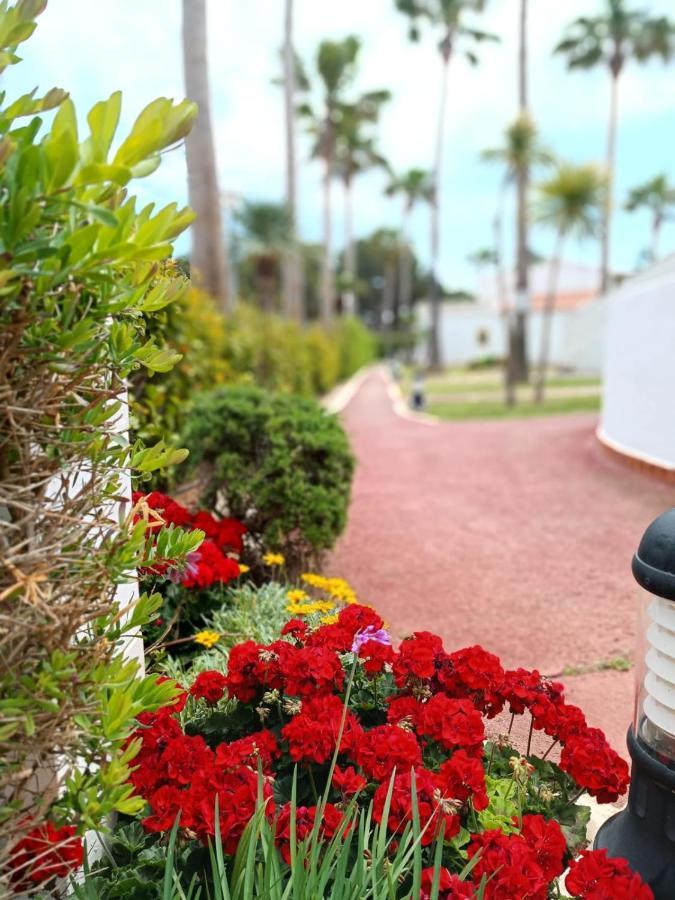 Bon Repos - B10, Apartamento Con Terraza En Cala'N Bosch Cala en Bosch Dış mekan fotoğraf